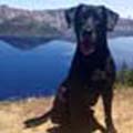 Payton in Oregon